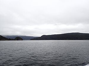 Coal Island Te Puka-Hereka RHS & Steep To Island LHS Fiordland New Zealand
