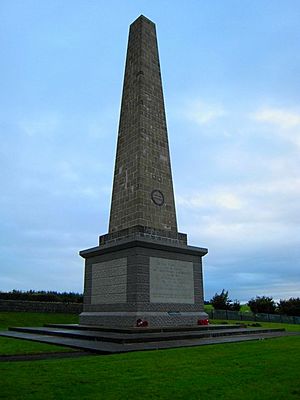 County Antrim War Memorial (Knockagh Monument) - geograph.org.uk - 652849
