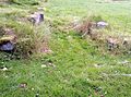 Dale Abbey 2019 ruins night stairs 01