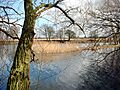 Deeping Lakes NR near Peterborough - geograph.org.uk - 162224