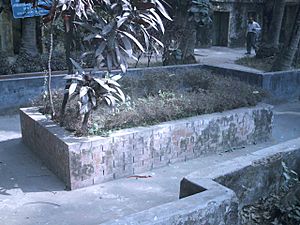 Dr Shahidulla's tomb