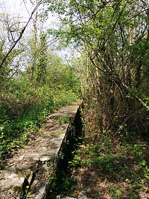 Efail Isaf Railway Station Platform East May 14