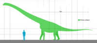 Erketu Scale.svg