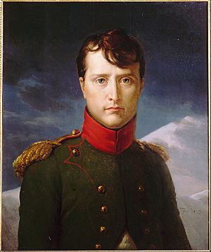 François Gérard - Napoléon Bonaparte Premier Consul - Google Art Project