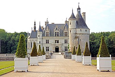 France-001529 - Château de Chenonceau (15454479036)