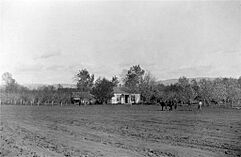 Fruit farm and vineyard, Walla Walla, Washington, 1890s