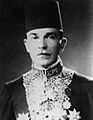 Hasan Sabry-pasha