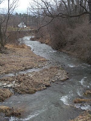 Hemlock Creek in Buckhorn