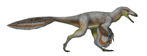 Imperobator