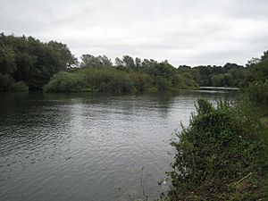 Island in the Thames near Sonning Hill - geograph.org.uk - 952171