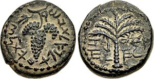 JUDAEA, Bar Kochba Revolt. 132-135 CE. Æ (CNG 300483)
