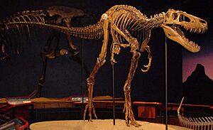 Jane TRex Burpee