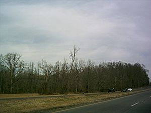King George County landscape