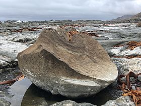 Large boulder at Ward Beach