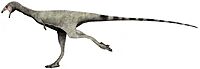 Limusaurus runner.jpg