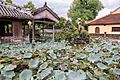 Lotus lake in Hue, Vietnam (25672760978)