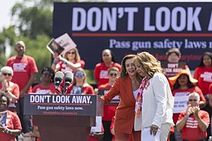 Lucy McBath Gun Safety Event