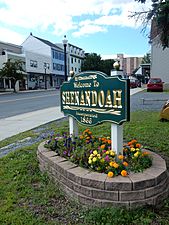 Main St Welcome Sign, Shenandoah PA 01
