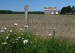 Maplehurst Wisconsin farm