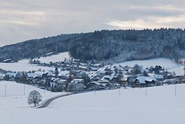 Meikirch village