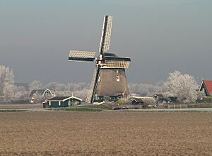 Molen Groenveld.jpg