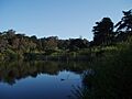 Mountain Lake (468742548)