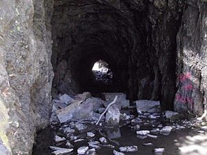 Old Railroad Tunnel Keystone Canyon