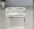 Picture of peptide hydrogel formation shown by the inverted vial method