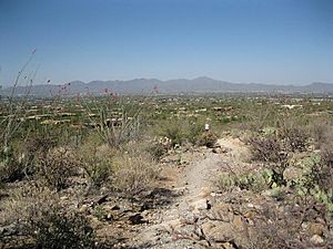 Pima Canyon Tucson Range