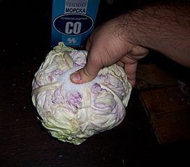 Pressing salt into cabbage