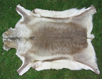 Reindeer fur skin 2