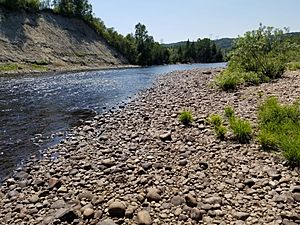 Rivière Malbaie à Clairmont le 2018-07-20, en aval du parc municipal