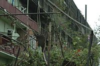 Ruins of a burnt apartment building in Gori