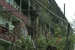 Ruins of a burnt apartment building in Gori