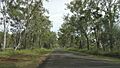 Rural scenery, Gentle Annie Road, Ambrose, 2014