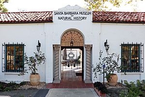 Santa Barbara, Natural History Museum, 2019.11.24 (35) (49184855698).jpg