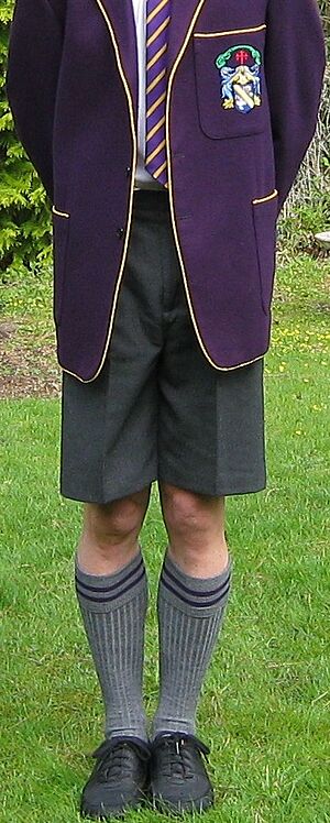 Schoolshorts1