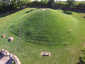 Shrum Mound aerial 2