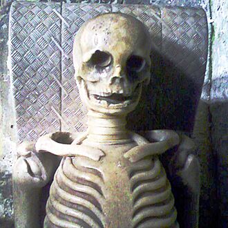 Skeleton Breedon Portrait