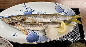 Sphyraena pinguis grilled