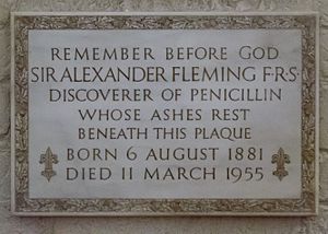 St-Pauls-Cathedral London Plaque-for-Sir-Alexander-Fleming-01