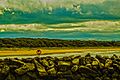 Storm On The Horizon