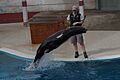 Taronga zoo, Sydney, Australia (8648508880)