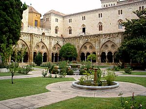 Tarragona - Catedral, claustro 01