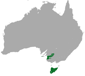 Tasmanian Pygmy Possum area.png