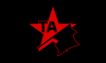 Tekosina Anarsist Flag