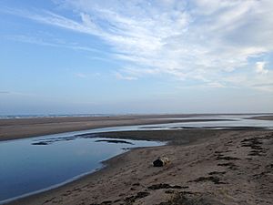 Tentsmuir NNR