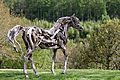 The Eden Horse by Heather Jansch, 2002. On display at Heather's garden in Olchard prior to delivery to The Eden Project.