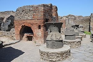The Pistrinum (bakery) on Vicolo Storto (Reg VII, Ins 2, 22) belonging to N. Popidius Priscus, Pompeii (14856682197)