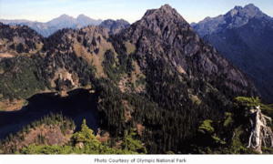 Upper Lena Lake, Olympic National Park, date unknown